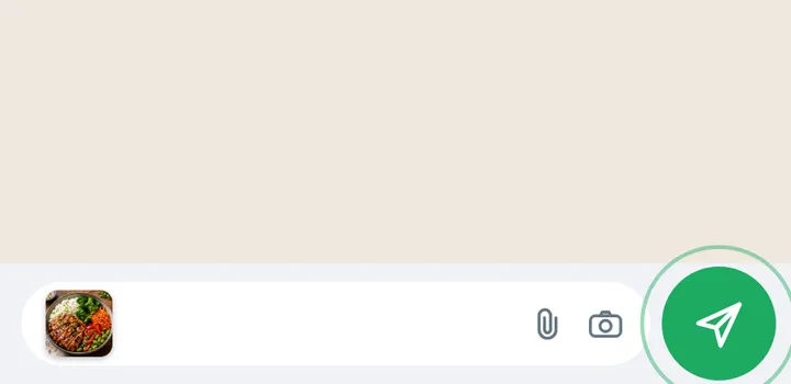 Chicken and rice bowl as a thumbnail in the message bar, ready to send