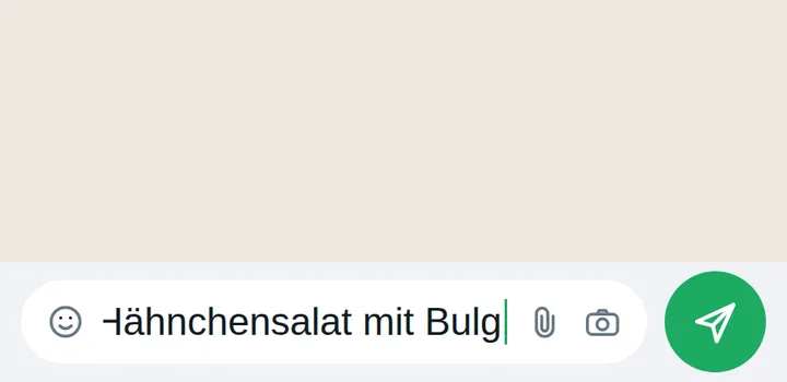 Eintippen einer Mahlzeitenbeschreibung und Versand im WhatsApp-Chat.