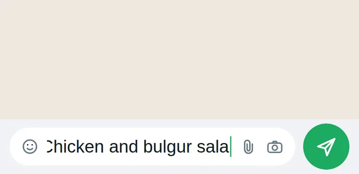 Typing a meal description, then sending it in the WhatsApp conversation.