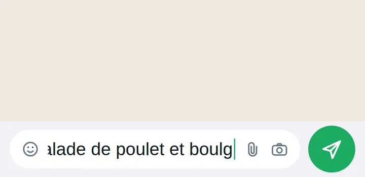 Saisie au clavier de la description d'un repas, puis envoi dans la conversation WhatsApp.