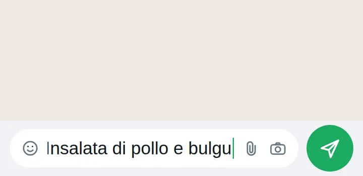 Digitazione della descrizione di un pasto e invio nella conversazione WhatsApp.