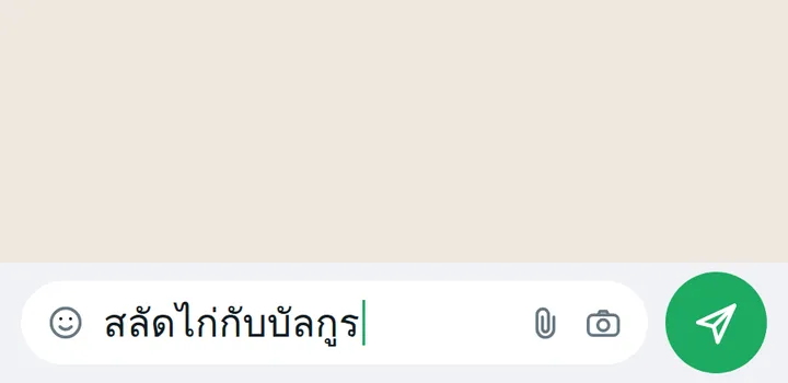 การพิมพ์คำอธิบายมื้ออาหารแล้วส่งในแชท WhatsApp